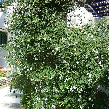 Porto Vlastos Agios Loannis Exterior foto